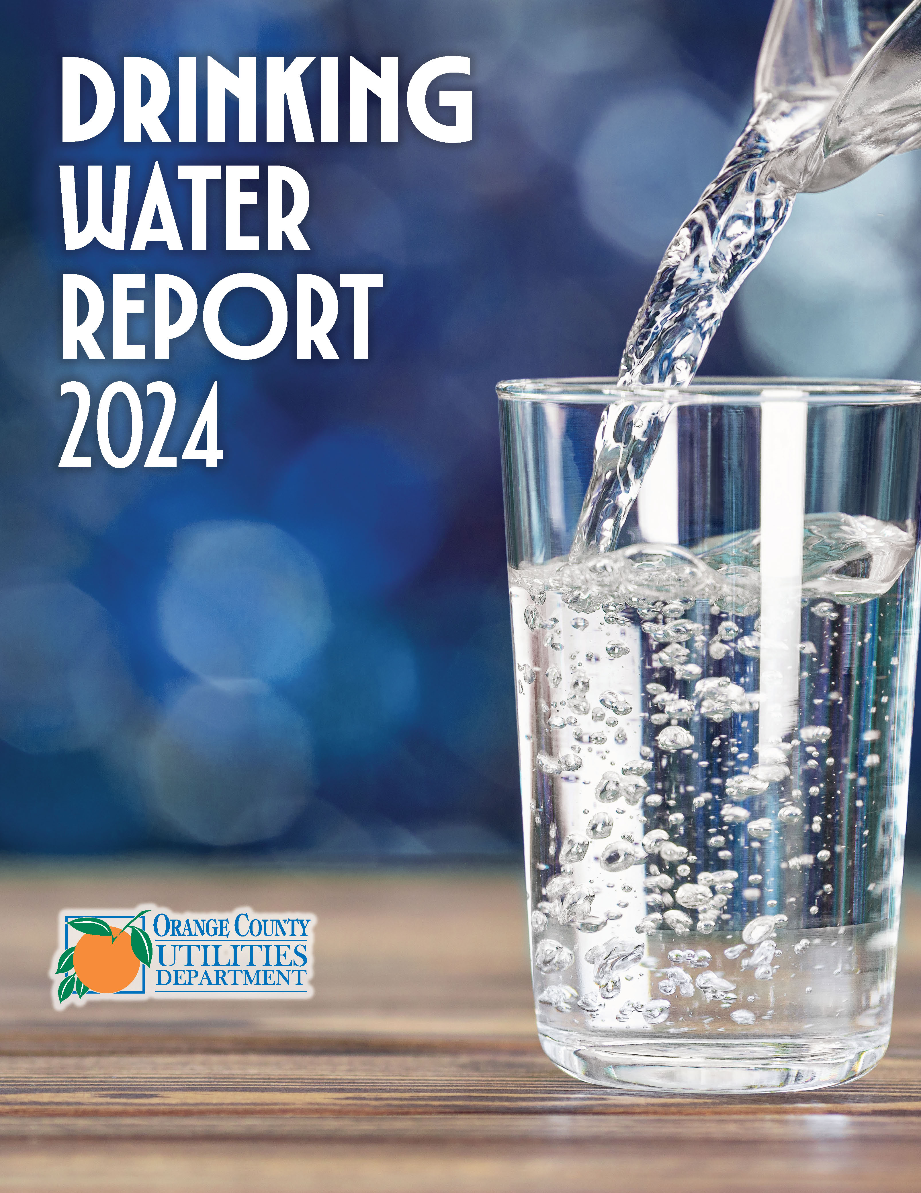 Drinking Water Report 2024